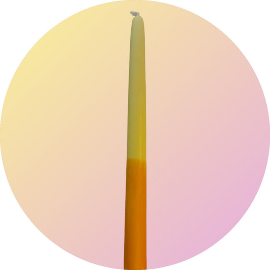 sunflower.yellow